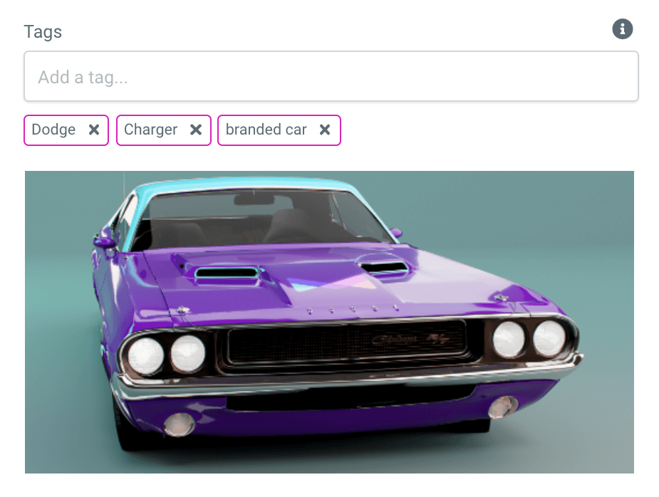 Purple Dodge Charger with meta tags displayed