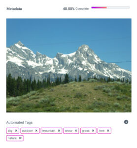 Insights - Digital Asset Management Tool - Metadata - Automated tags - Screenshot